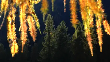 DSC 0204b